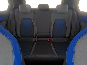 Volkswagen VW Golf VIII 2.0 TSI R DSG 4motion 