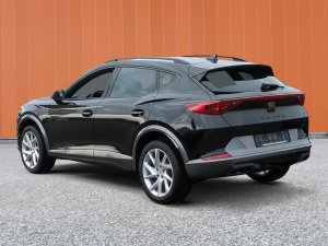 Cupra Formentor 2.0 TDI 4Drive DSG
