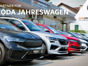 Skoda Kodiaq 2.0 TSI 4x4 RS