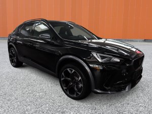 Cupra Formentor 2.0 TSI DSG 4Drive