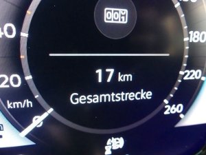 Volkswagen Golf VIII 2.0 TDI DSG Goal