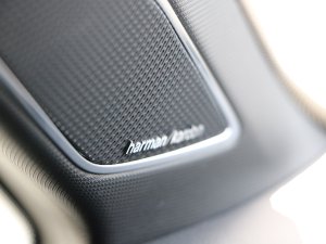 Volkswagen VW Golf VIII 2.0 TSI R DSG 4motion 