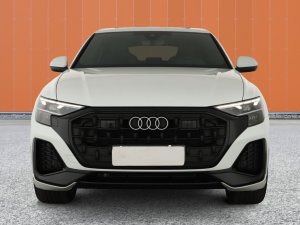 Audi Q8 SUV 50 TDI quattro tiptronic 