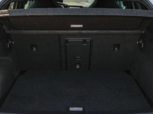 Volkswagen Golf VIII 2.0 TSI DSG 4Motion  R-Line