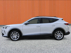 Cupra Formentor 2.0 TDI 4Drive DSG